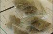 Basse Meuse : drogues dures